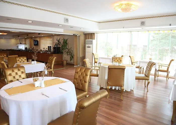 Golden Boutique فندق أنقرة